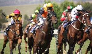 barrier trials trial spy racing tips winter racing