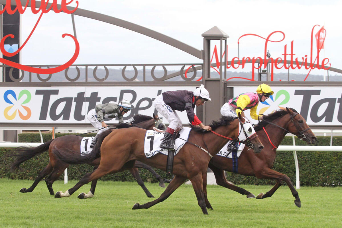 289_outback-joeadelaide-cupgroup-2_10-03-2014_win_morphettville_7_508