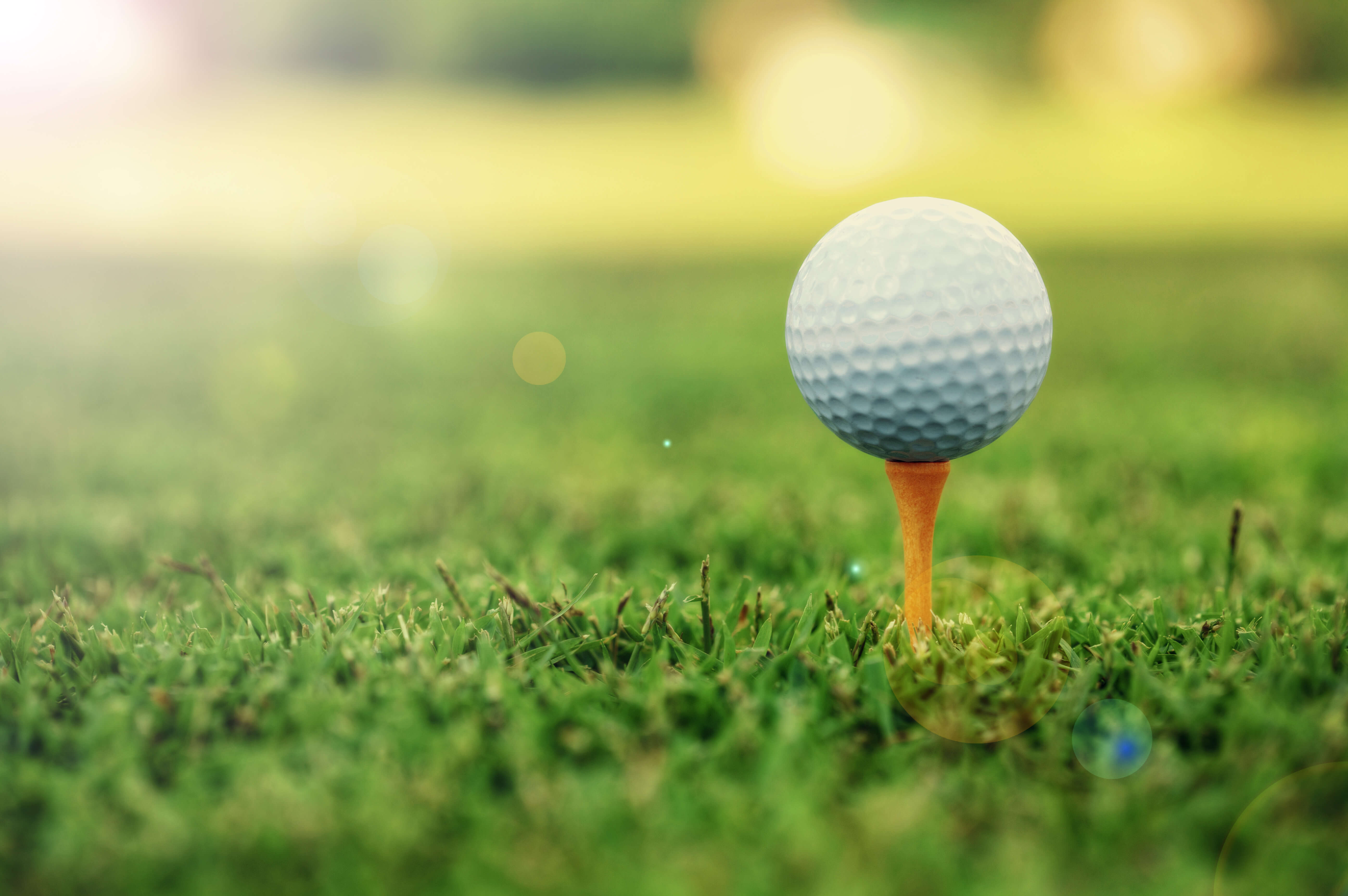 Golf ball on tee Golf ball