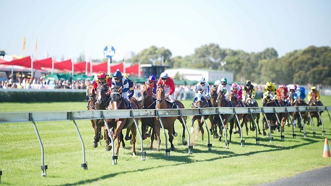 adelaide-cup