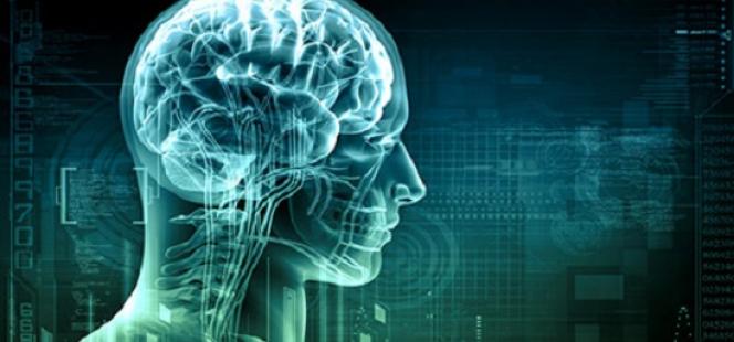 psychological services_0