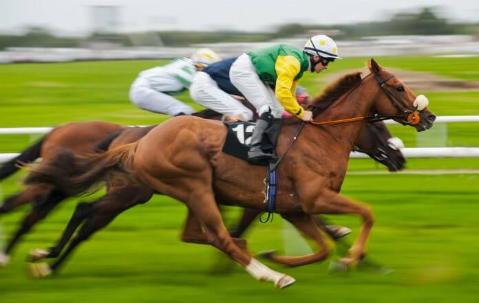 UKhorseracing footy tips AFL tips NRL tips