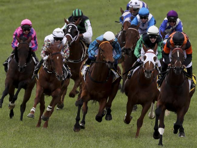 Sandown Sandown Quaddie tips
