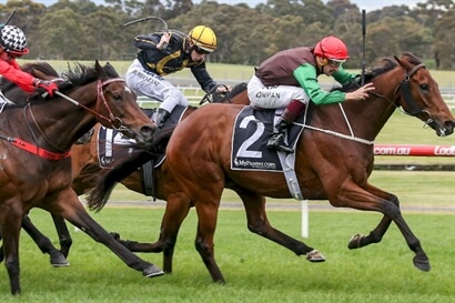 sandown2 5 things learnt Trevor Lawson Melbourne racing