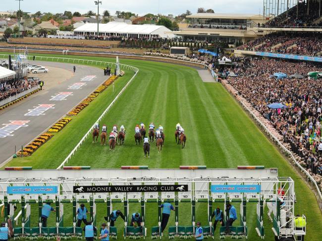 Moonee-Valley-racecourse moonee valley quaddie tips