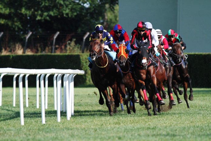 best-hd-wallpapers-of-horse-racing racing tips footy tips AFL tips NRL tips