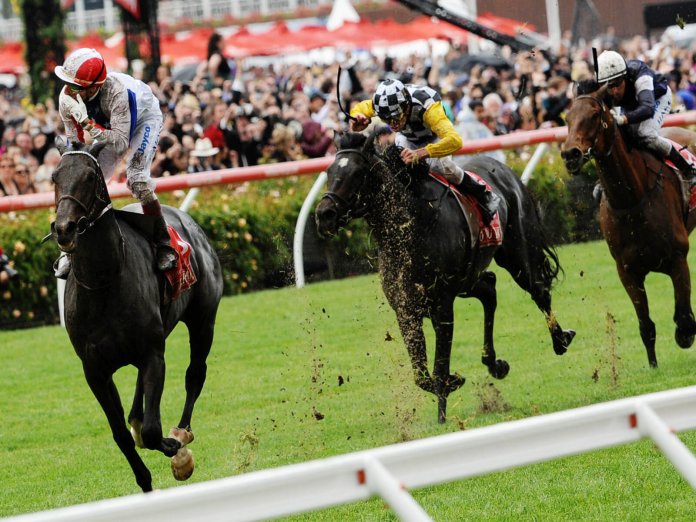 horse-racing-melbourne-cup-images successful pro-punter