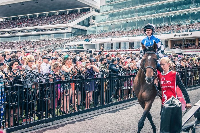 Protectionist_before_the_2014_Melbourne_Cup protectionist pre melb cup