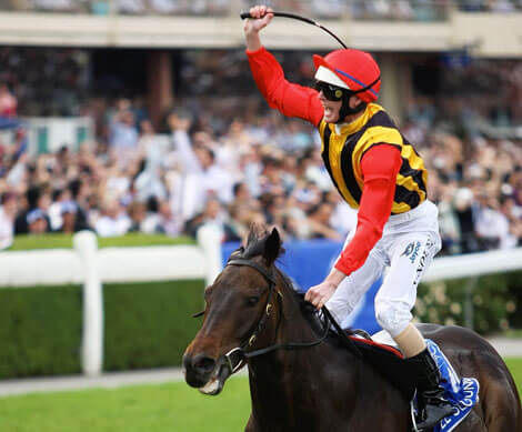 Key Bets Key Bets pro-punter