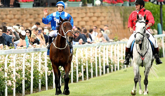 winx Cox Plate Moonee Valley Winx