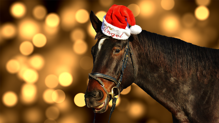 Animal-Horse-Laugh-Funny-Christmas-Santa-Hat-Ride-1886977 christmas stocking