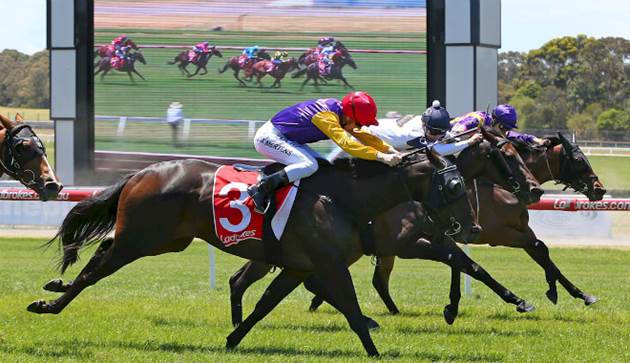 sandown racing tips