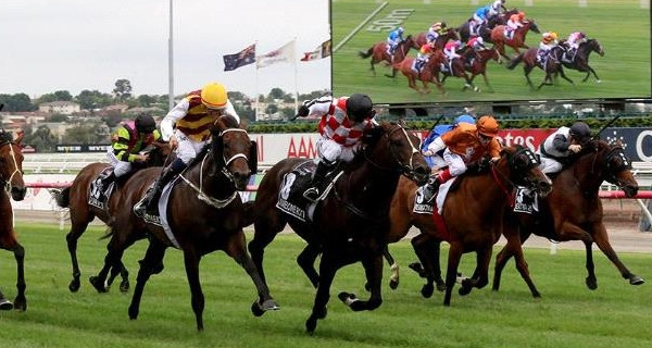 australia-cup newmarket handicap