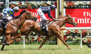 Caulfield quaddie tips