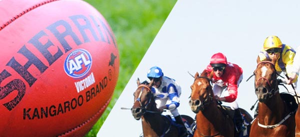 footyracing-comb footy tips racing tips