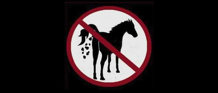 01 bookie banned