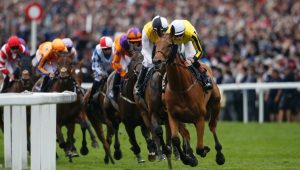 racing analyst big priced winners afl specials
