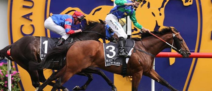caulfield4801-1 Caulfield Quaddie tips