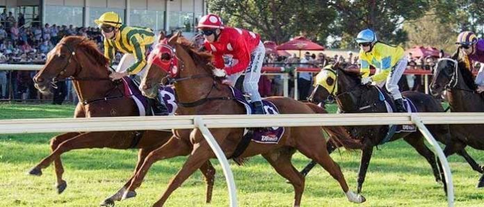 horse-racing-champion-324 spring racing tips
