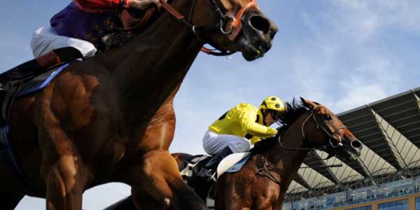 12341_Horse
