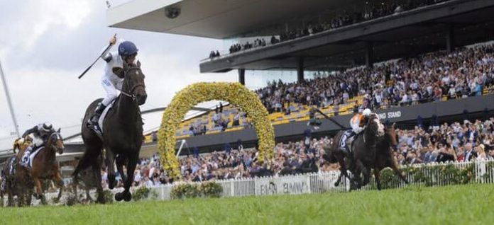 Rosehill1 Rosehill Quaddie tips