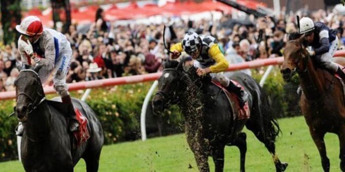 horse-racing-2