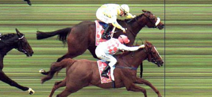 photo-finish Spring racing tips Melbourne Cup
