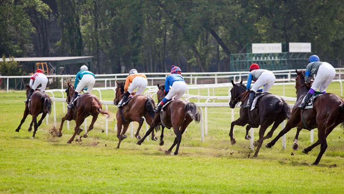 right-to-left22 spring racing