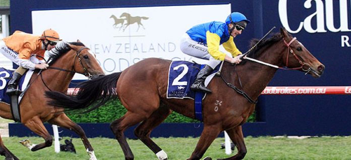 memsie-stakes-caulfield Group 1 Memsie Stakes Preview