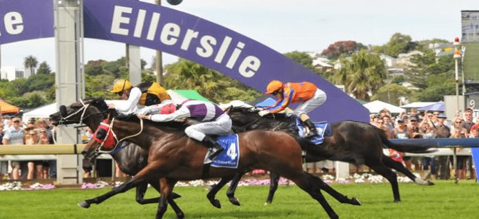 new-zealand-nz-racing-ellerslie-finish New Zealand racing tips