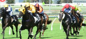 Doomben Sunshine Coast Ipswich Eagle Farm Queensland racing