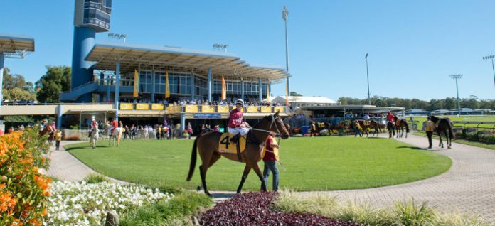 sunshine-coast Sunshine Coast Quaddie tips