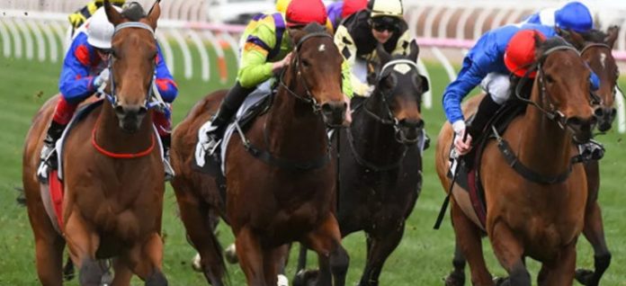 flemington1 Spring racing