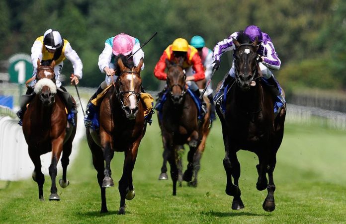 gold-coast Betfair SP