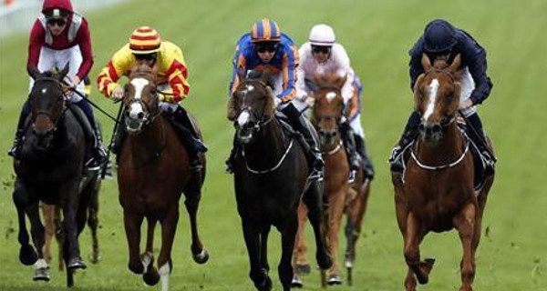 horse-racing1 successful analyst racing tips