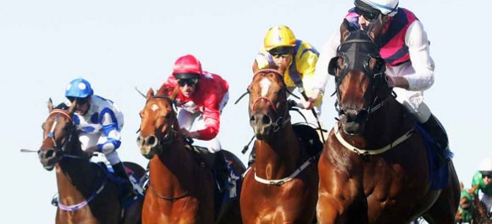 key-bets-12 Spring racing