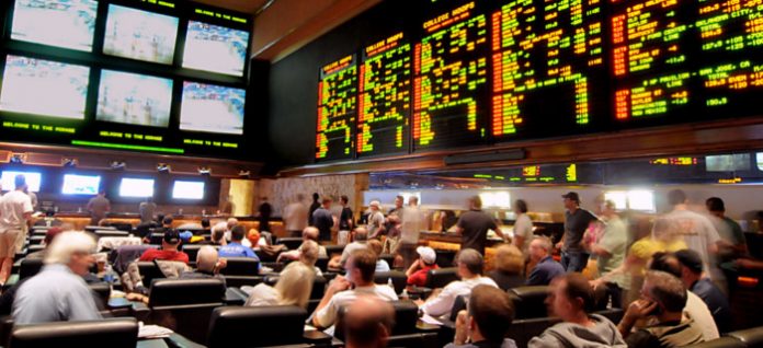 sp profit on turnover punting success