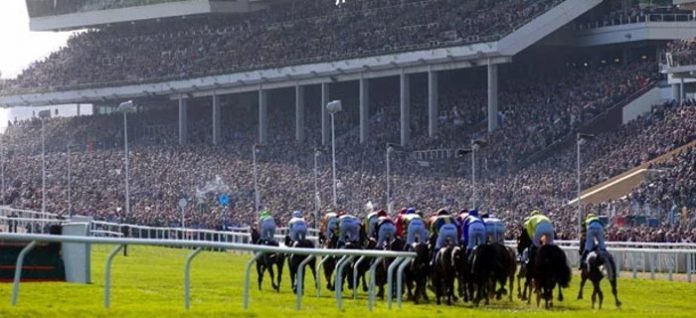 ukracing41 UK racing tips