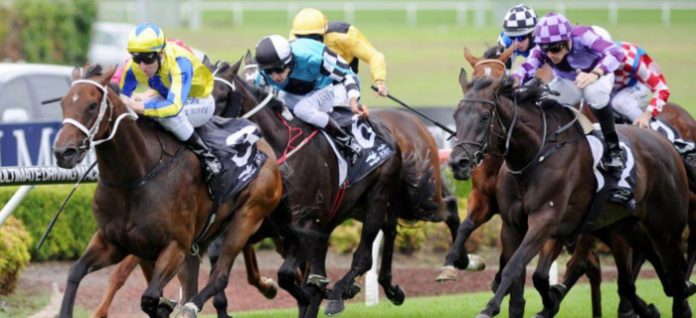 canterbury Canterbury Quaddie tips