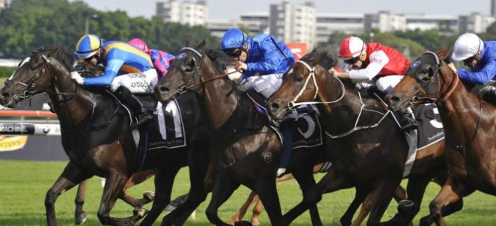 expressway-stakes Expressway Stakes Preview racing tips