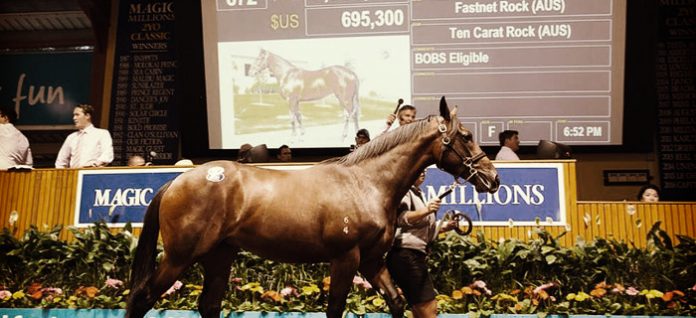 yearling-sale owning horses Nathan Snow Betting 360