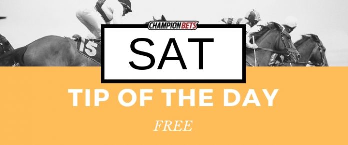 Friday Tip Of The Day free horse racing tips free tips
