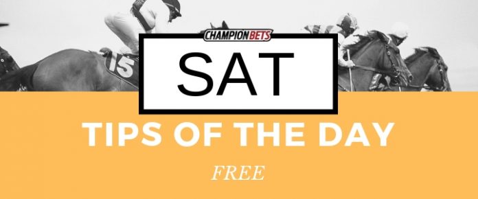 61 free horse racing tips free tips free racing tips