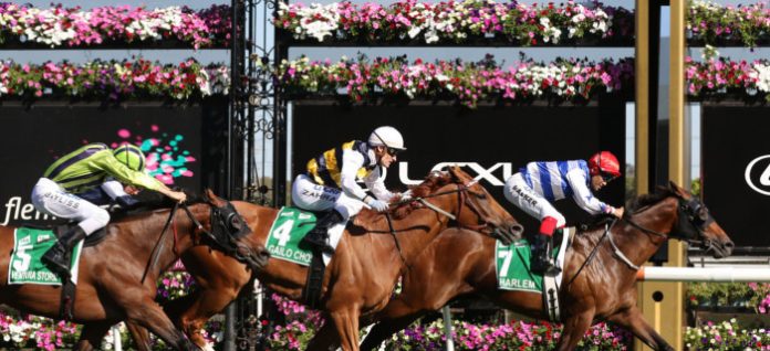australia-cup