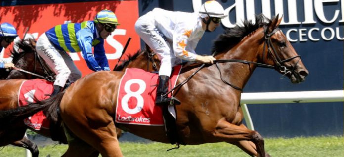 blue-diamond-stakes Group 1 Blue Diamond Stakes preview racing tips