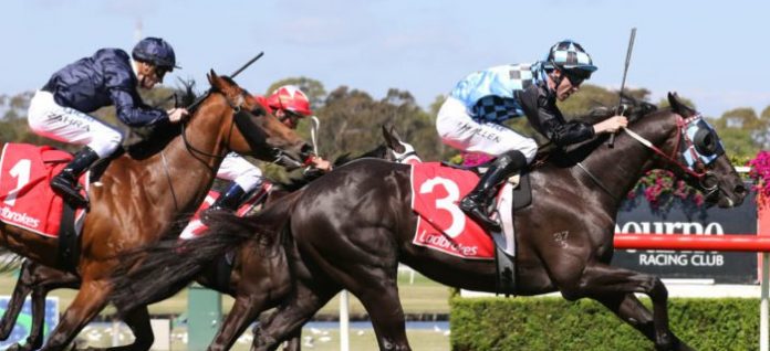 cs-hayes-horse-racing Group 3 CS Hayes Stakes preview racing tips