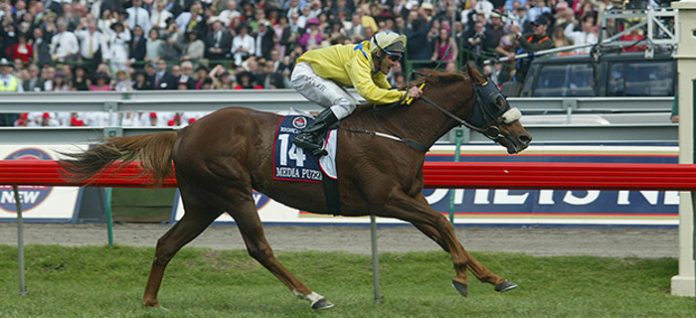 damien-oliver-media-puzzle-melbourne-cup Betting 360 Damien Oliver
