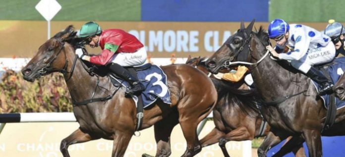 coolmore-classic Group 1 Coolmore Classic preview
