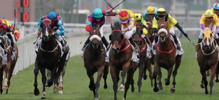 horse-racing Betting 360 Richard Irvine