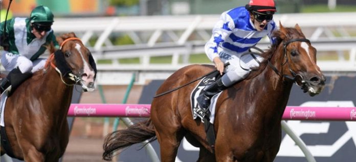 newmarket-handicap